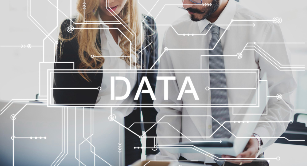 internal data report
