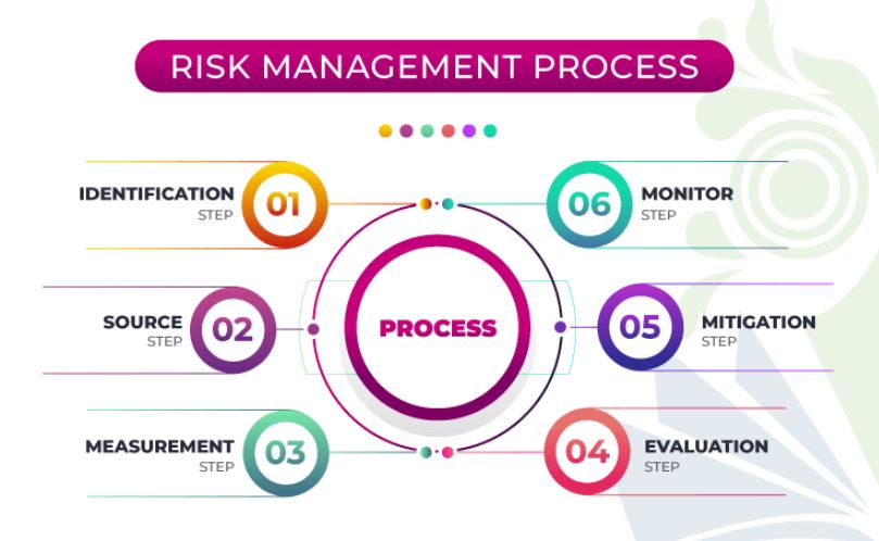 Risk Management Process Steps
